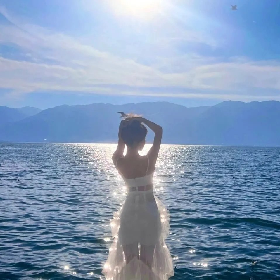 光之城的战斗联盟